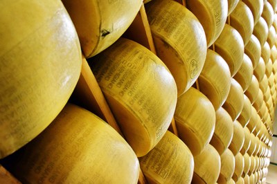 Il Parmigiano Reggiano